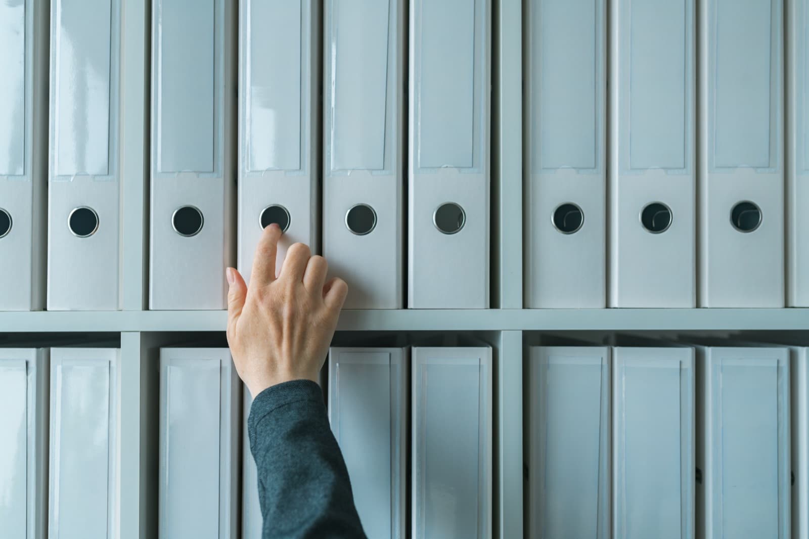 Translating Vue: Why internationalizing documentation matters?